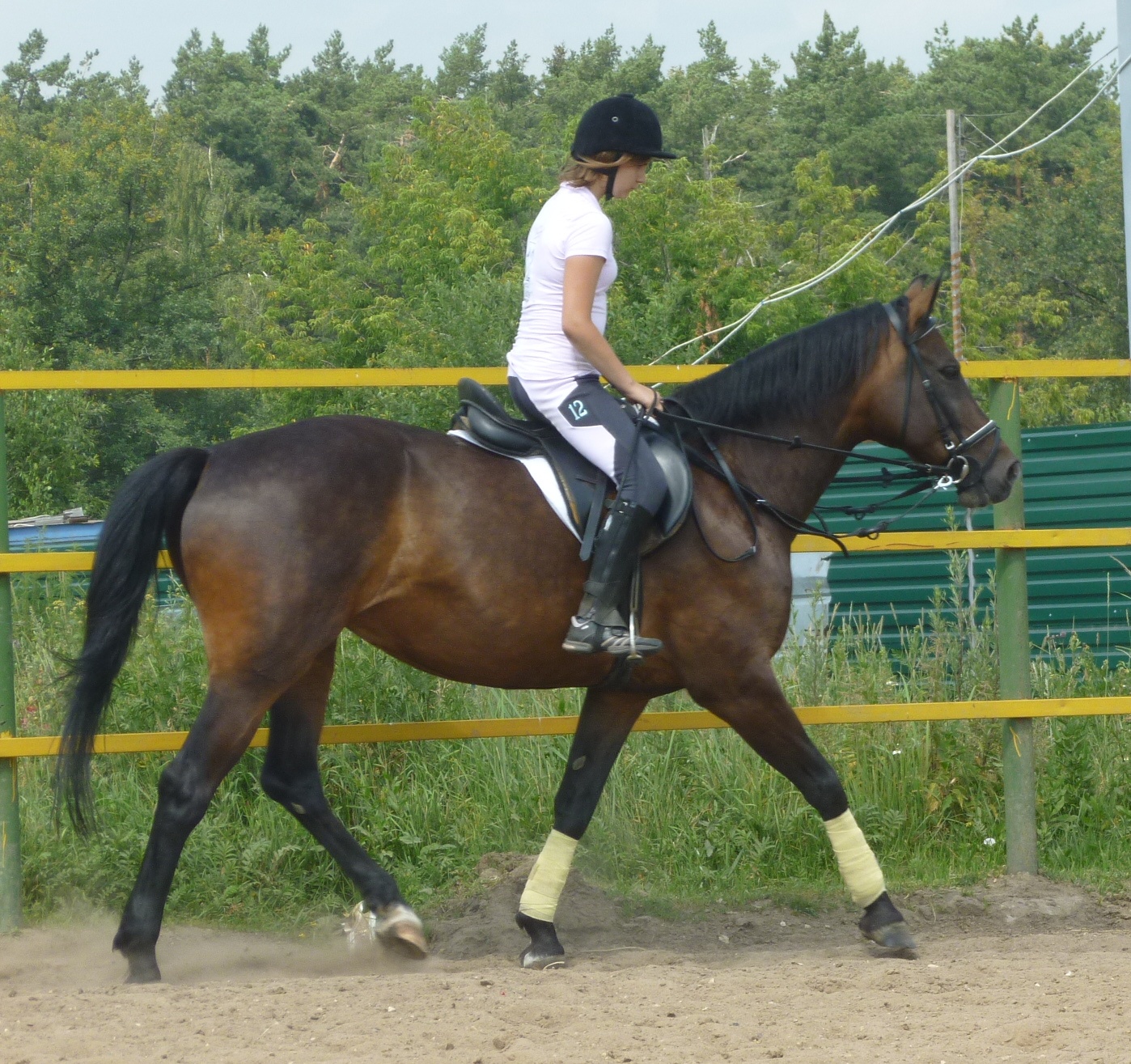 обучение верх езде4.JPG