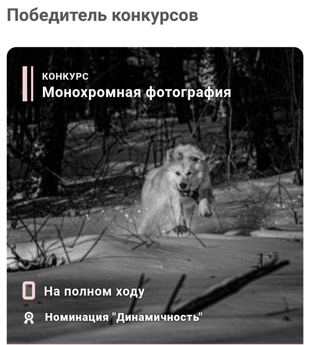 OGk_HBNIxTY-1.jpg