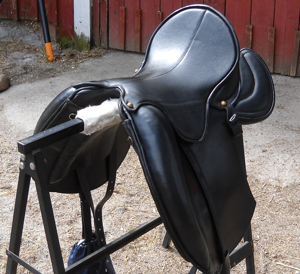 Omega-Lotos-Dressage5.jpg