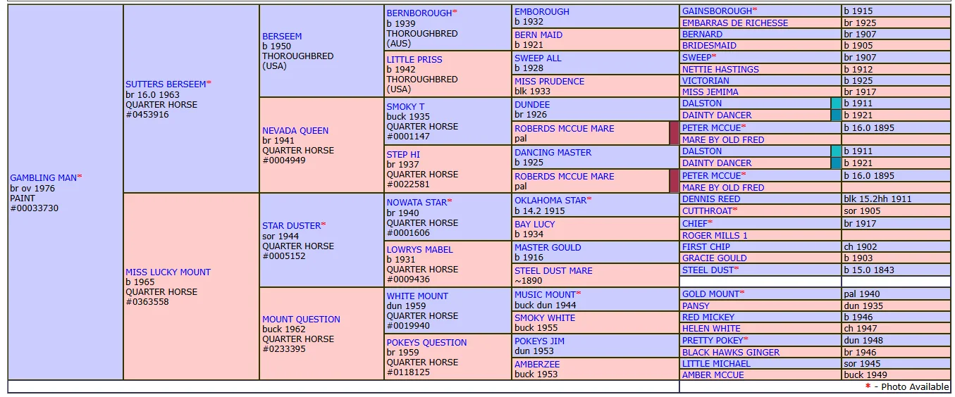 Opera Snapshot_2025-04-17_203732_www.allbreedpedigree.com.webp