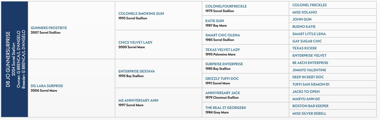 Opera Snapshot_2025-12-13_215821_quarterhorseresource.com.png