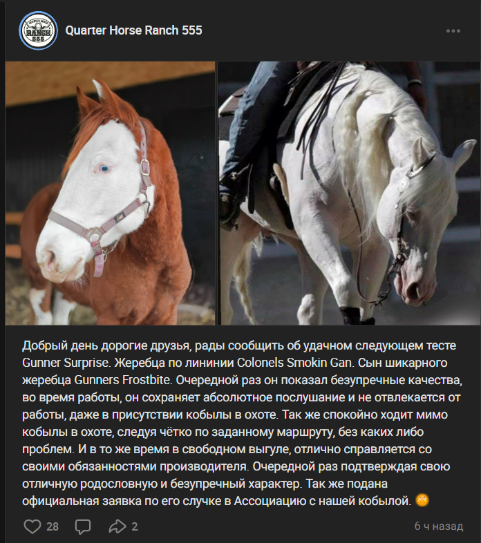 Opera Snapshot_2026-04-04_111151_vk.com.png