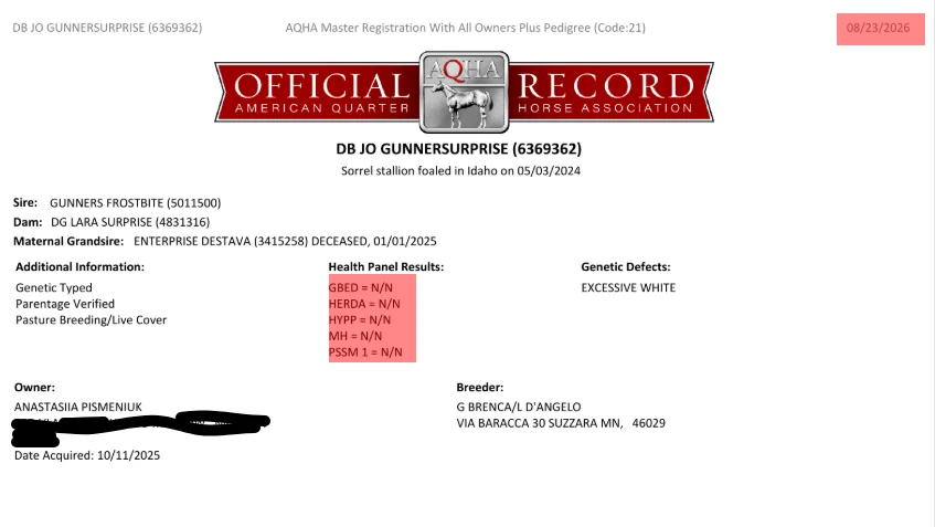 Opera Snapshot_2026-09-29_215820_docs.yandex.ru.webp