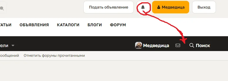 Opera Снимок_2026-10-24_153459_www.prokoni.ru.webp