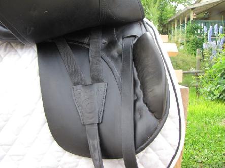 org_1405401276saddle3.jpg