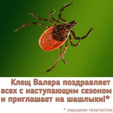 ostorozhno_kleshch_valera_zhdet_kopeychan_na_mayskie_prazdniki.jpg