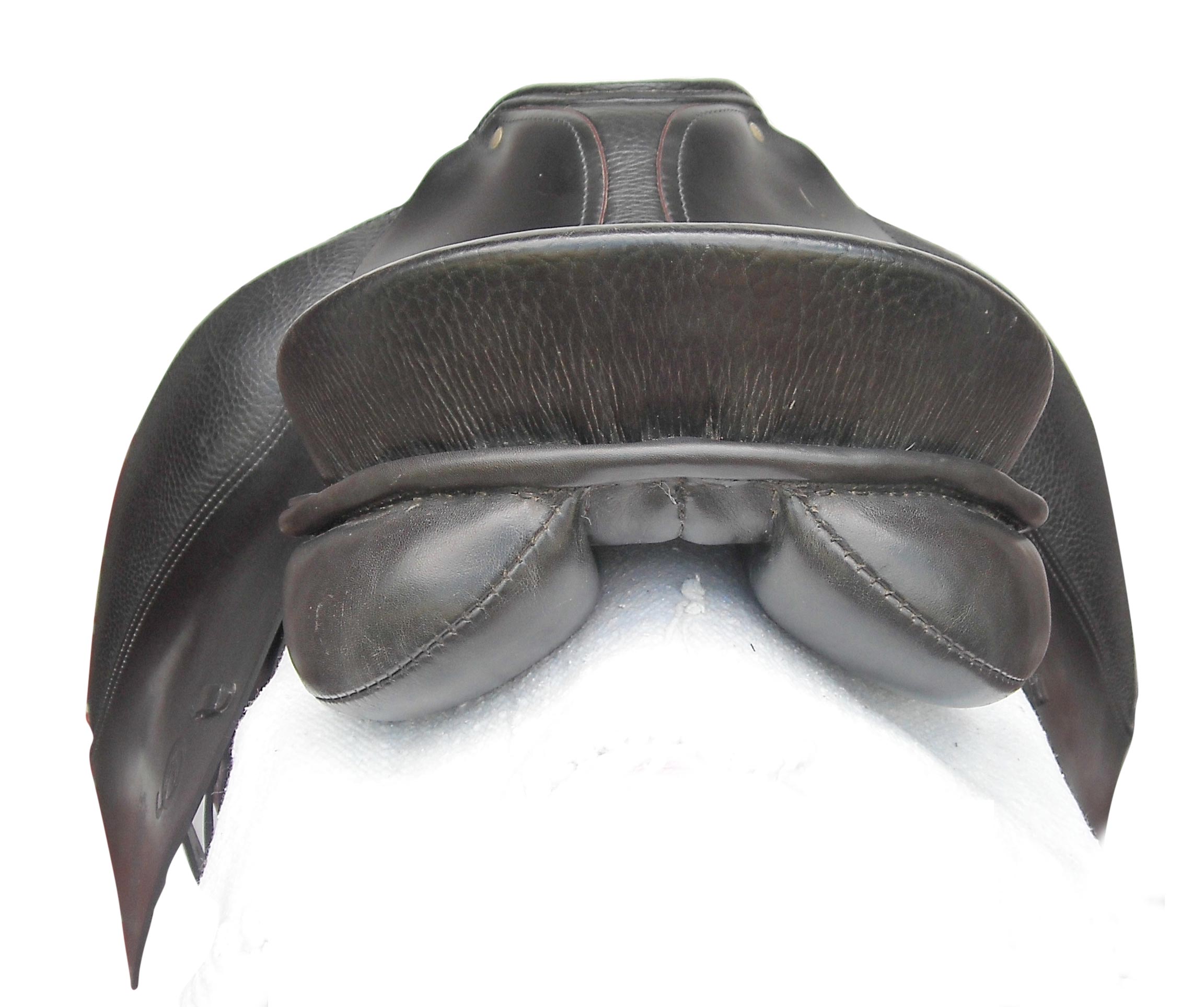 otto_saddle_back.jpg