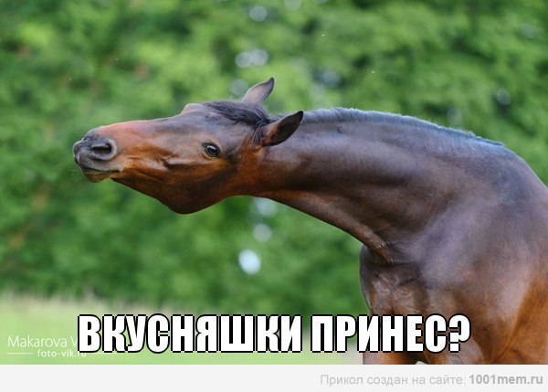 otYo4dqTHYU.jpg