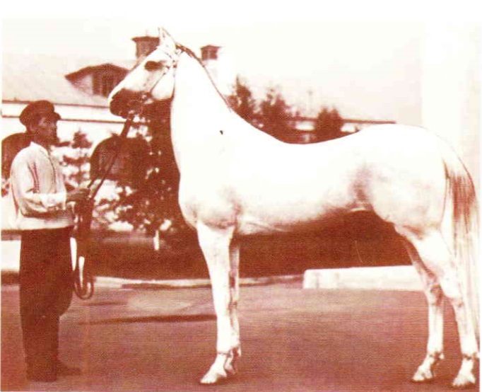 овласакар.jpg