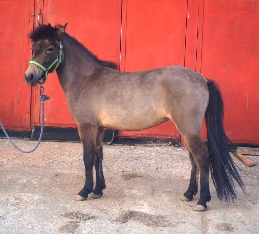 P1010206 - копия.JPG