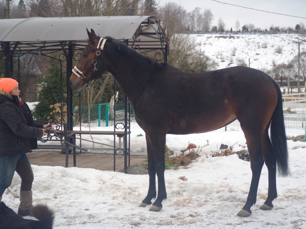 P1010256 - копия.JPG