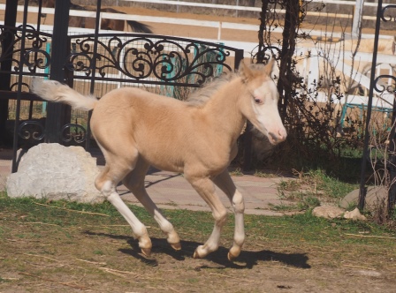 P1010343 - копия.JPG