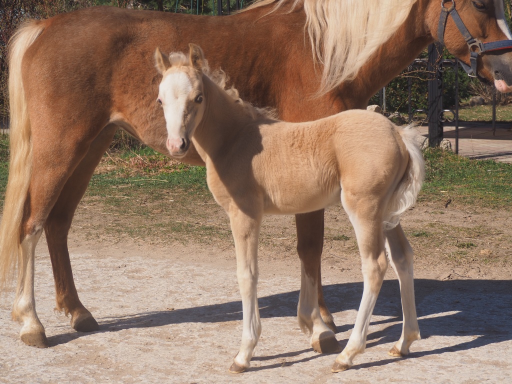 P1010373 - копия.JPG