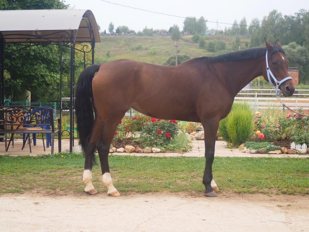 P1010392 - копия.JPG