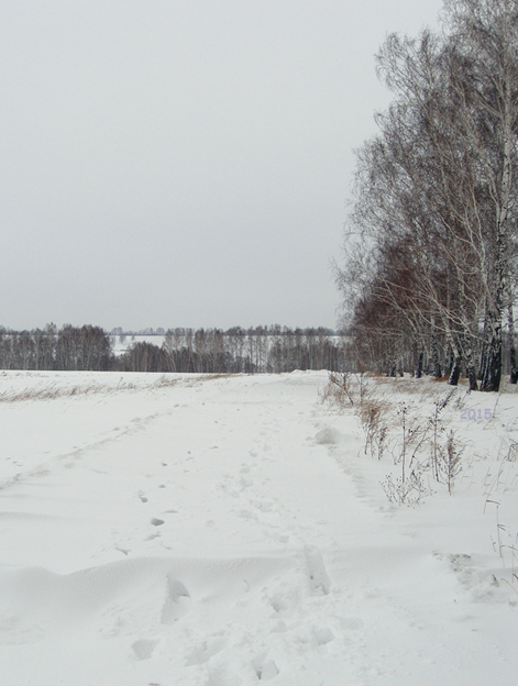P1014613-doroga2-.jpg