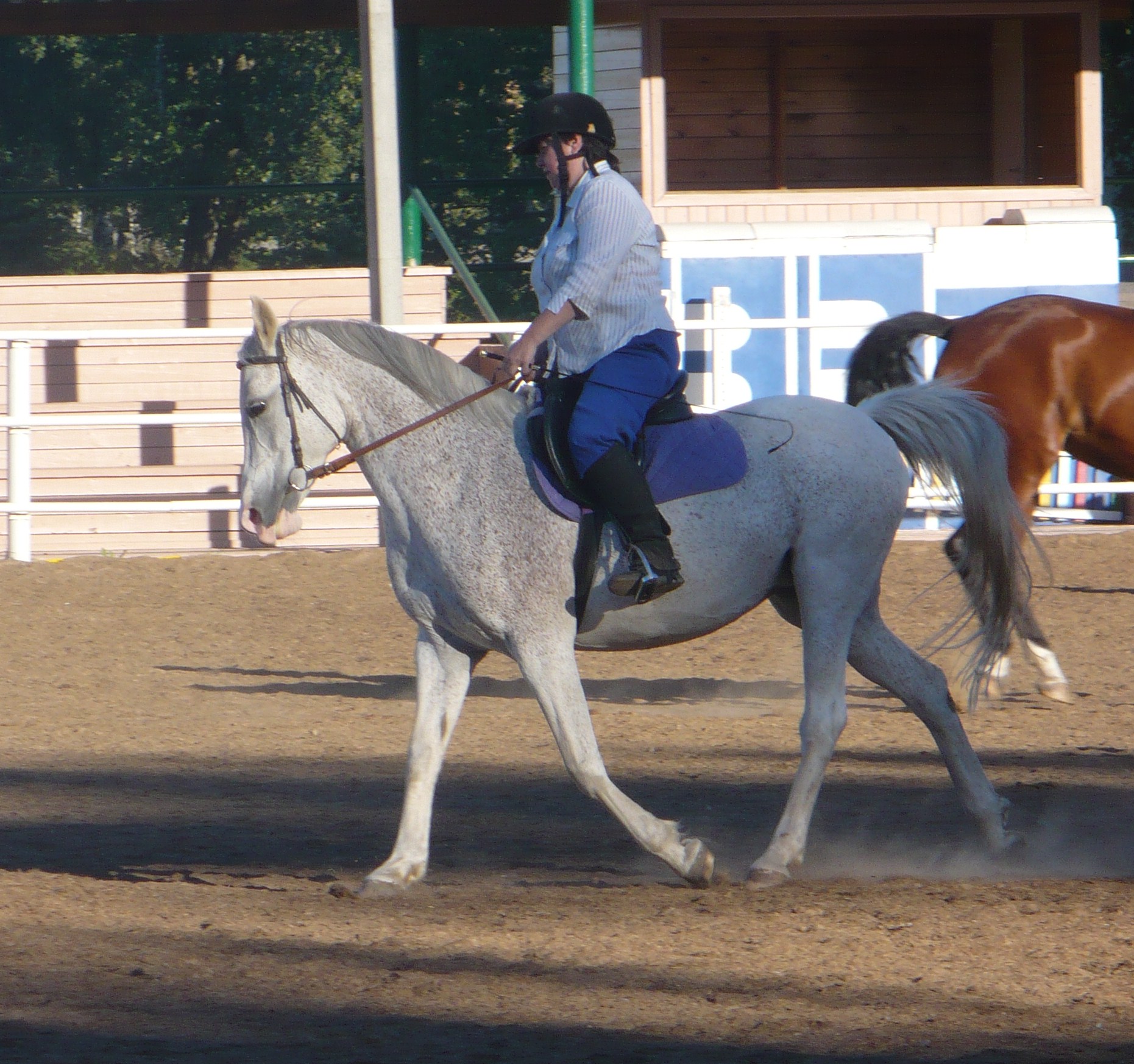 P1020137.JPG