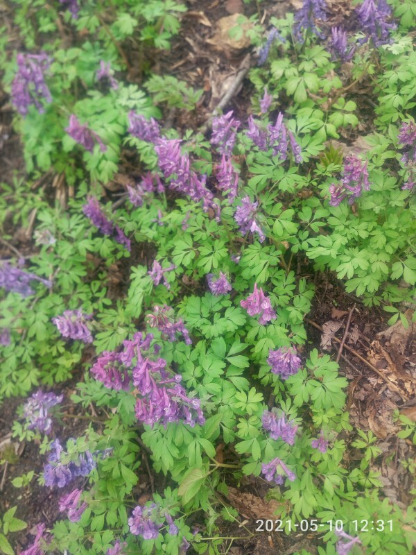 P10510-123139.jpg