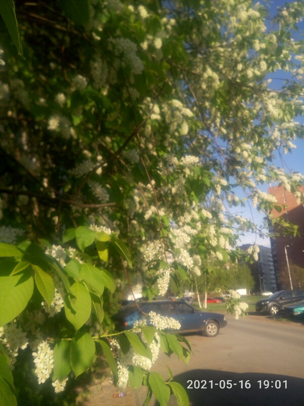 P10516-190113.jpg