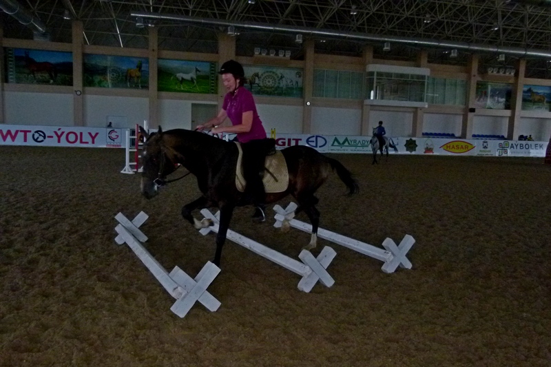 P1150320.JPG P1150320.JPG