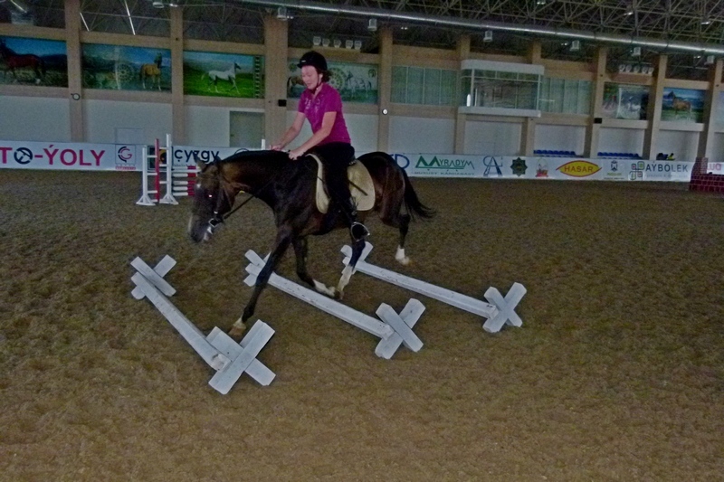 P1150322.JPG P1150322.JPG