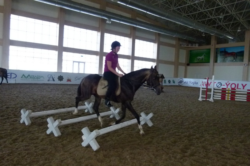 P1150328.JPG P1150328.JPG