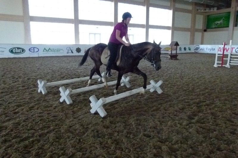 P1150329.JPG P1150329.JPG