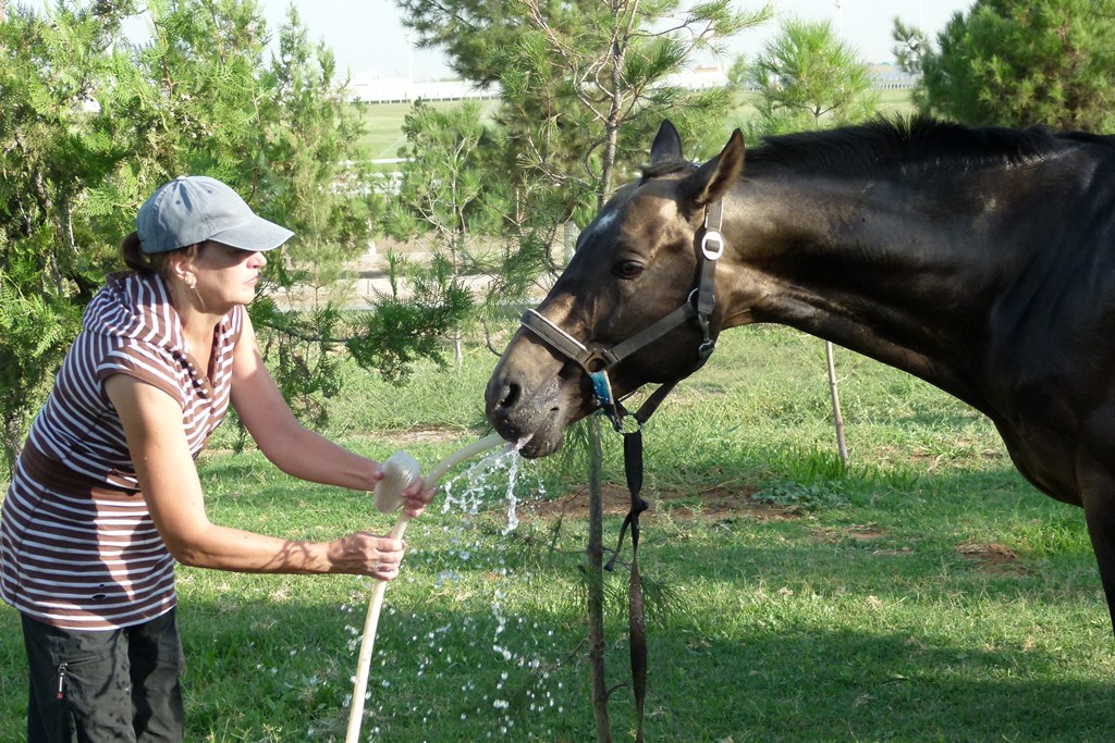 P1150695.jpg P1150695.jpg