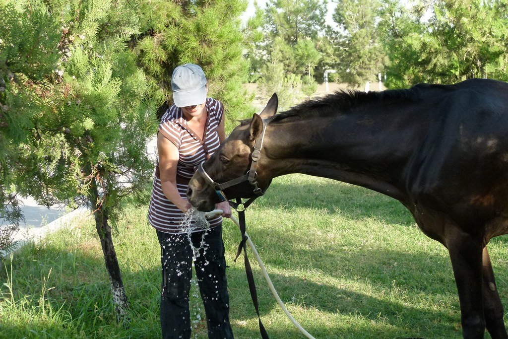 P1150698.jpg P1150698.jpg