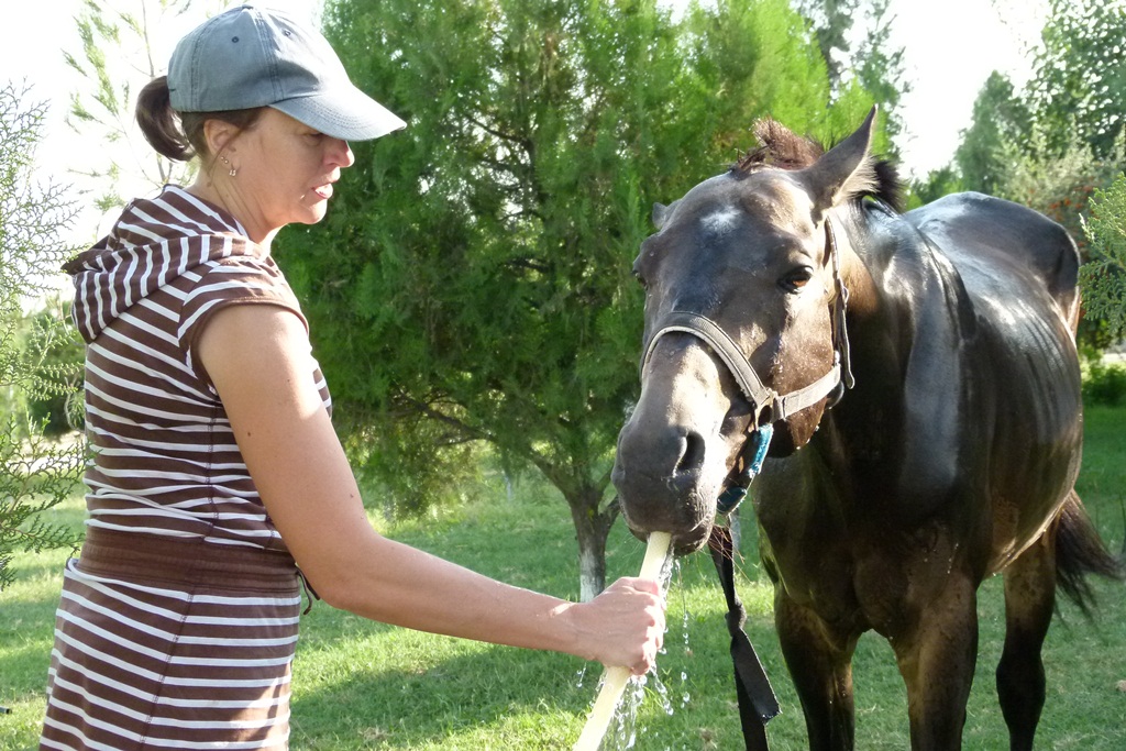 P1150702.jpg P1150702.jpg