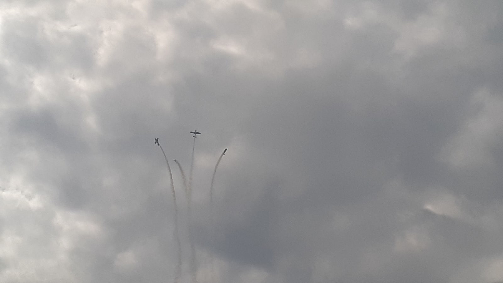 P1Ed_-_5qJU.jpg