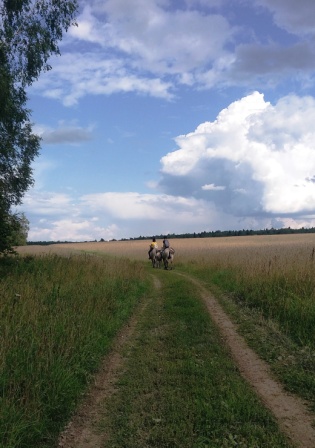 P_20190722_151716редмини.jpg