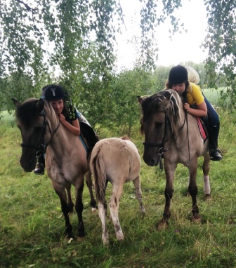 P_20190722_152247редмини.jpg