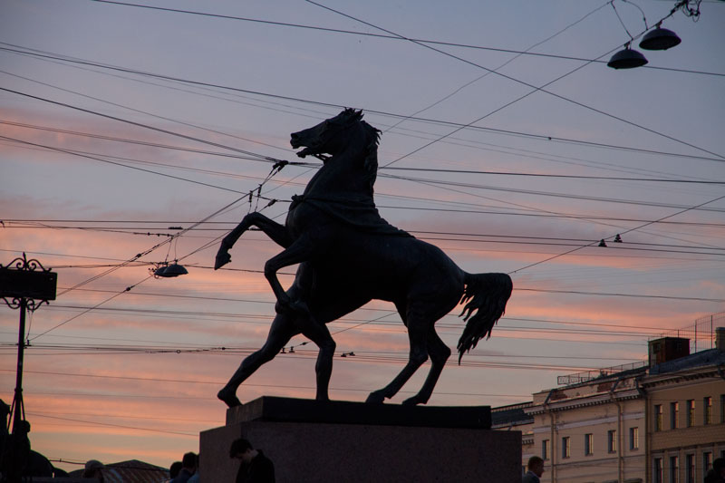 P_3554.jpg