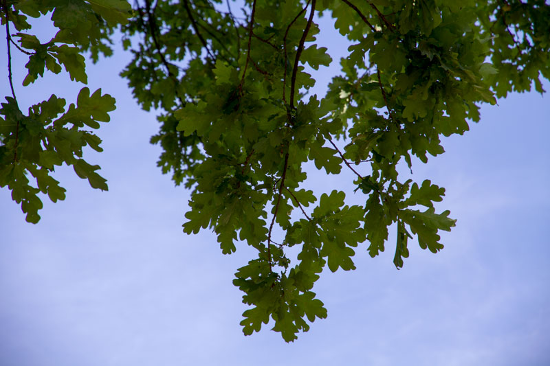 P_3741.jpg