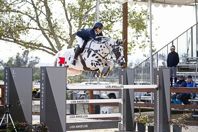paard-little-indian-2019-1.jpg