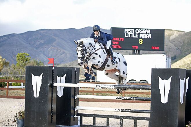 paard-little-indian-2019.jpg