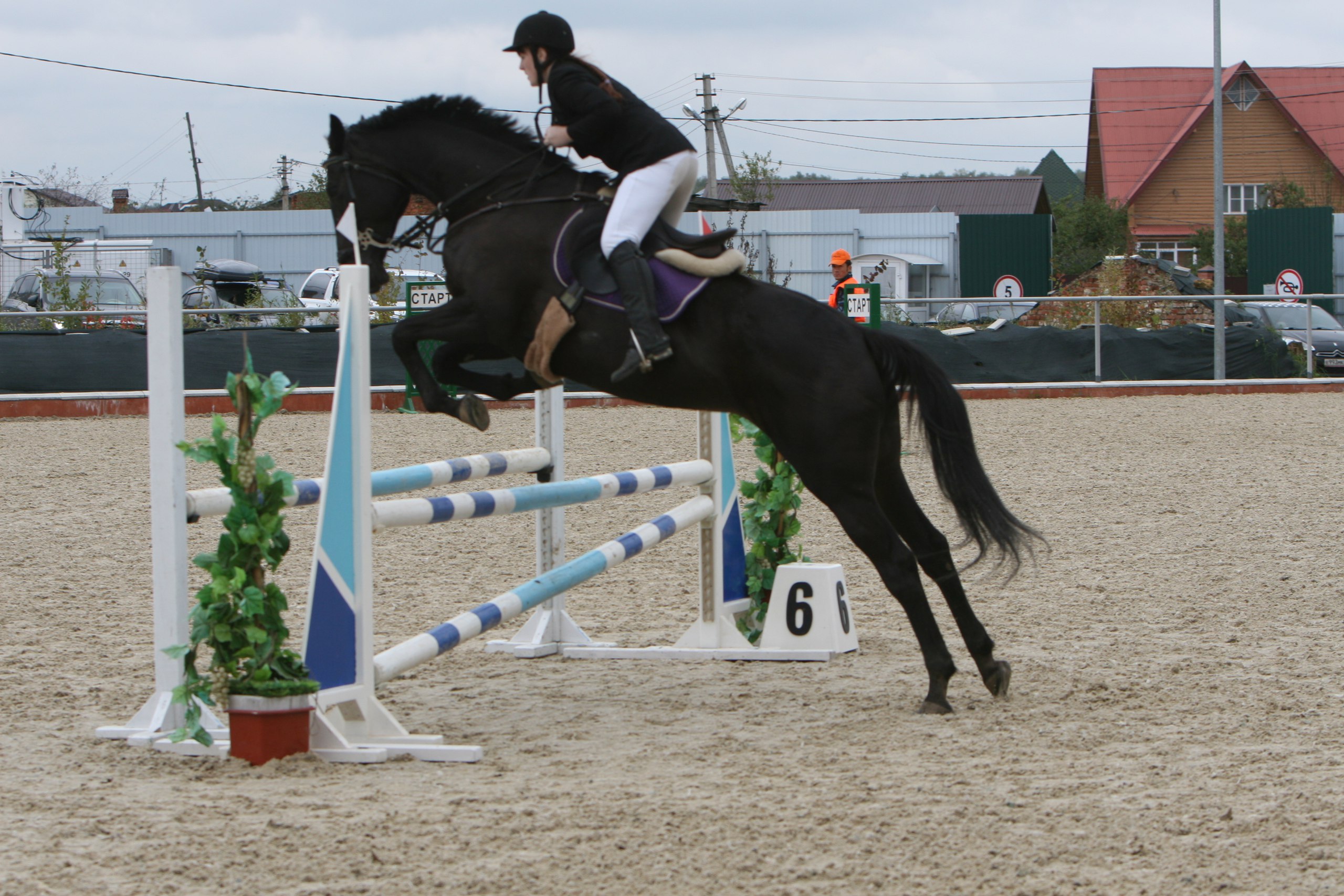 папайя 90 см.jpg