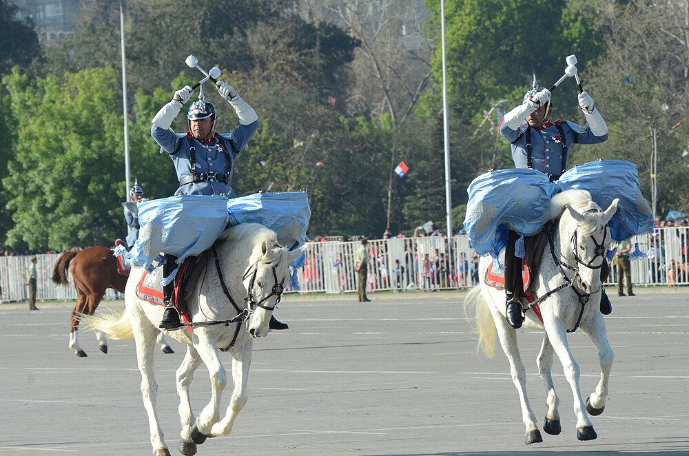 Parada_Militar_2014.jpg