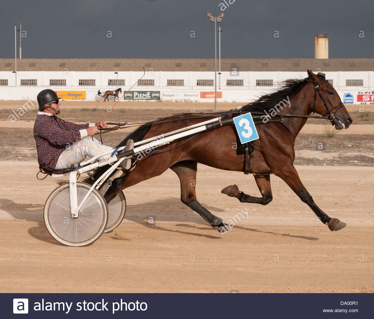 participant-in-the-trotting-races-at-the-hipodrom-municipal-de-mao-DA00R1.jpg