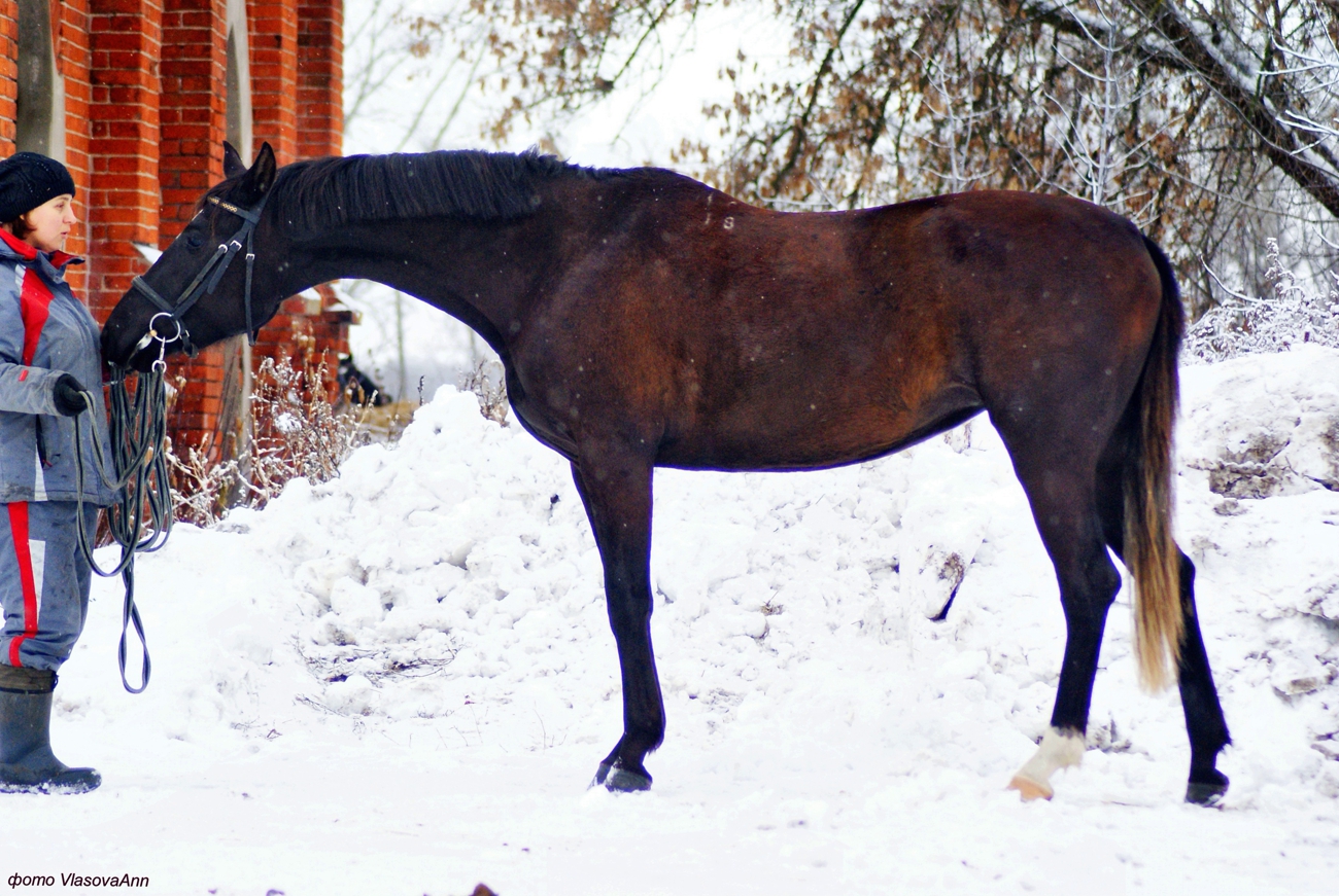 Паулина.jpg