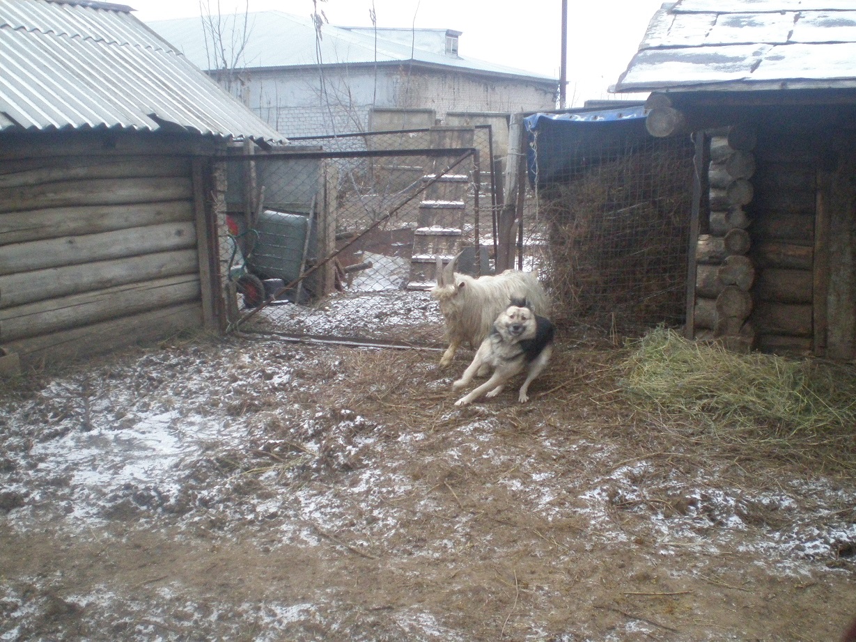 PB210089.JPG