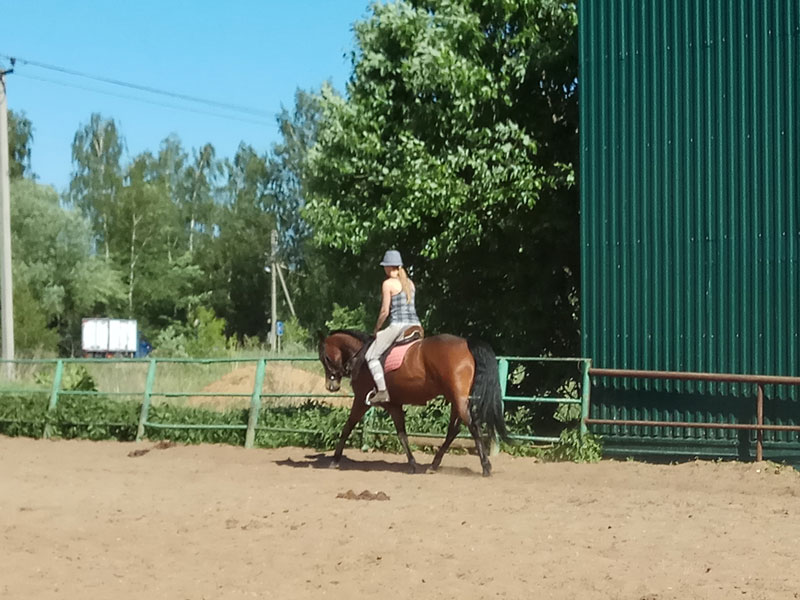 PE_152813.jpg