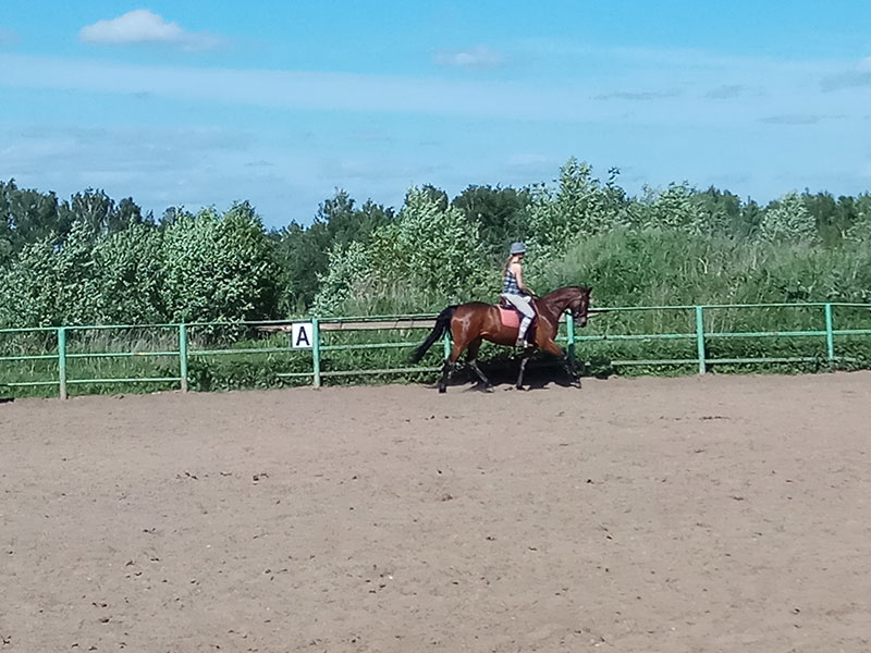 PE_153355.jpg
