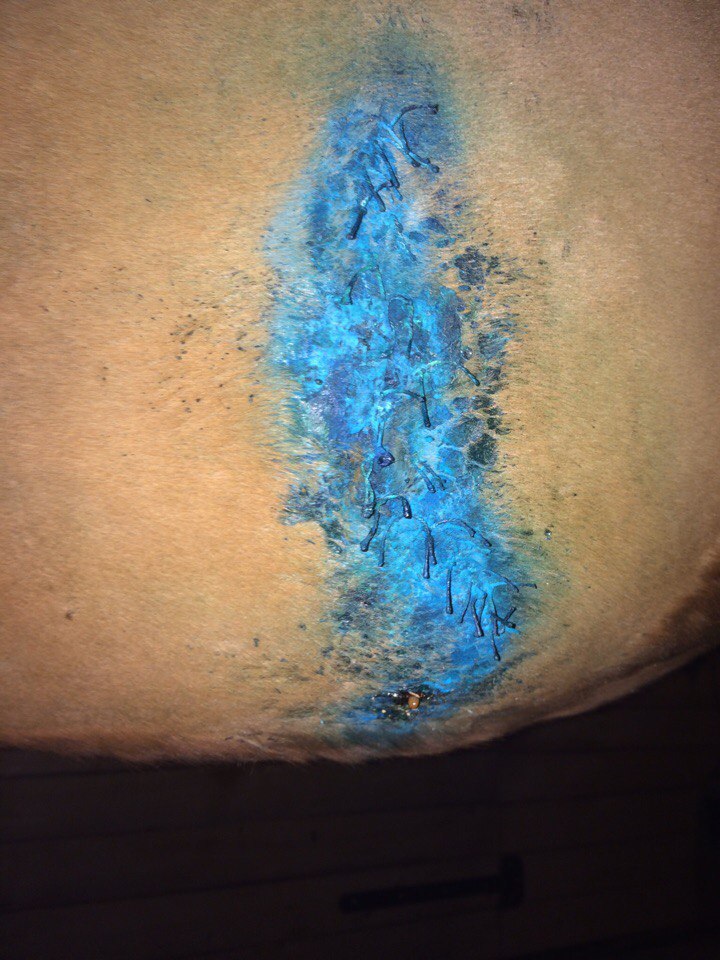 Первая операция.jpg