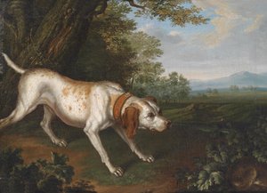Philipp Ferdinand de Hamilton - Ein die Beute witternder Jagdhund in einer Landschaft - (Meist...jpg