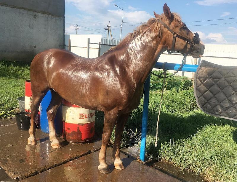 photo_2019-08-14_14-55-31.jpg