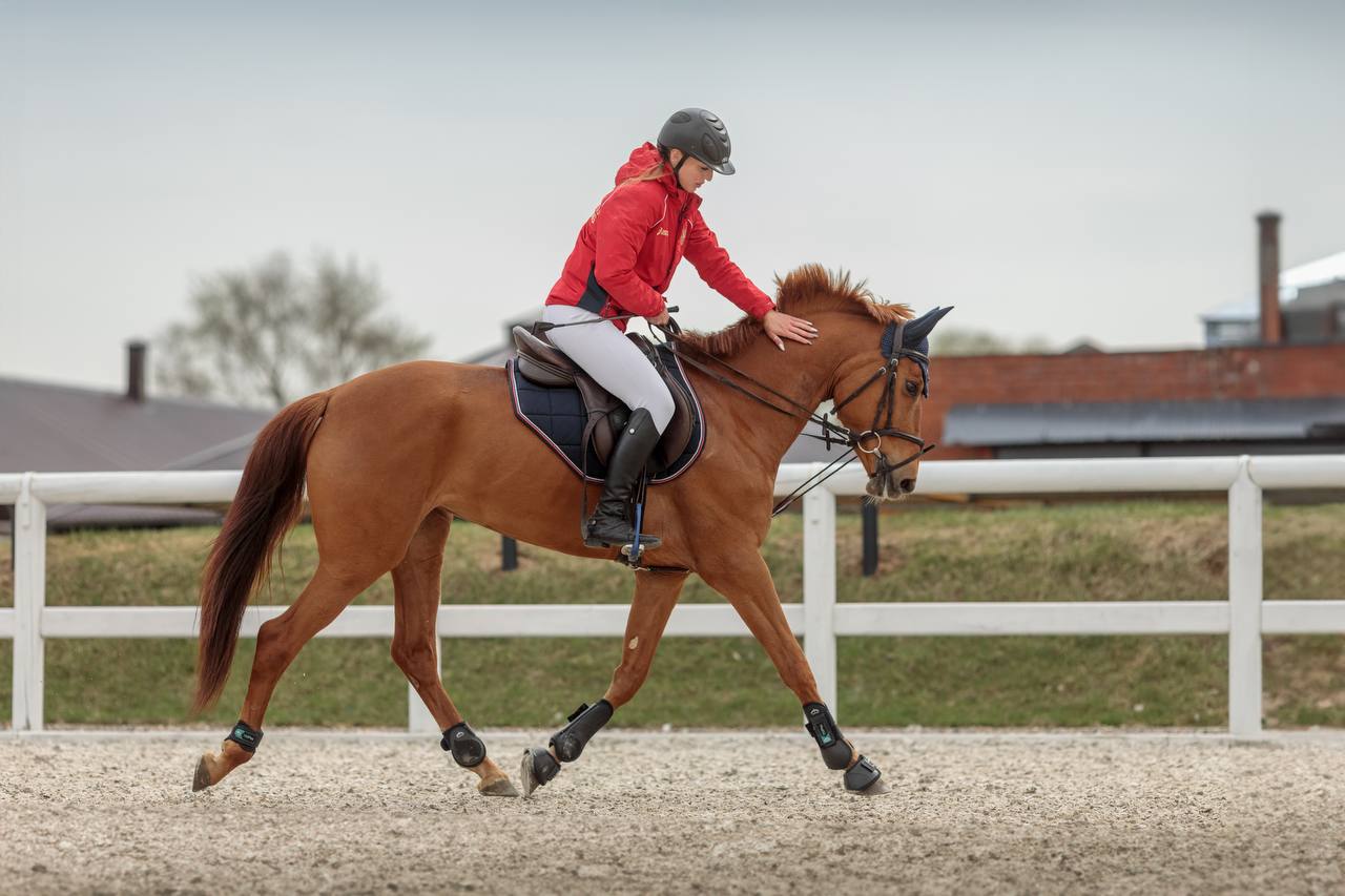 photo_2024-06-04 12.35.48.jpeg