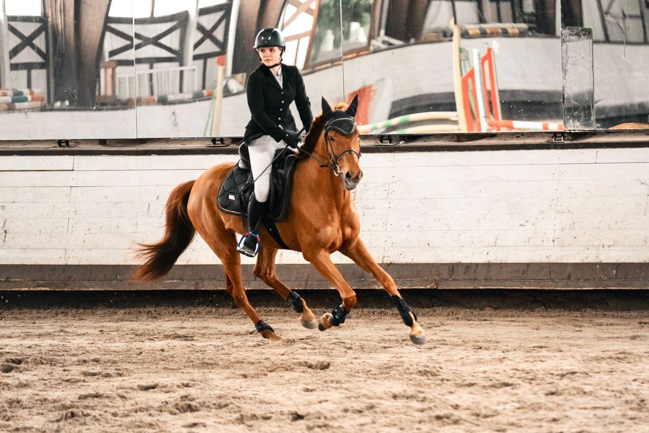 photo_2024-06-04 12.35.50.jpeg