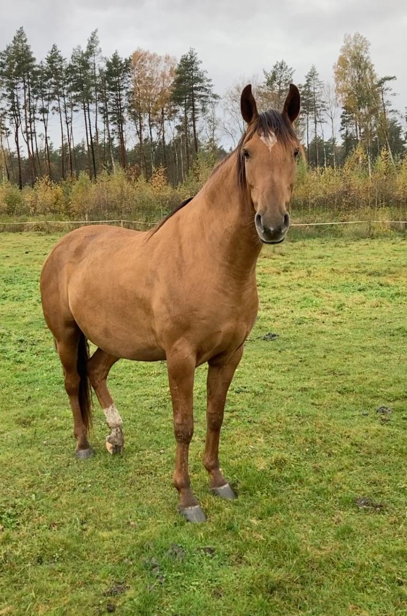 photo_2025-10-16 23.58.33.jpeg