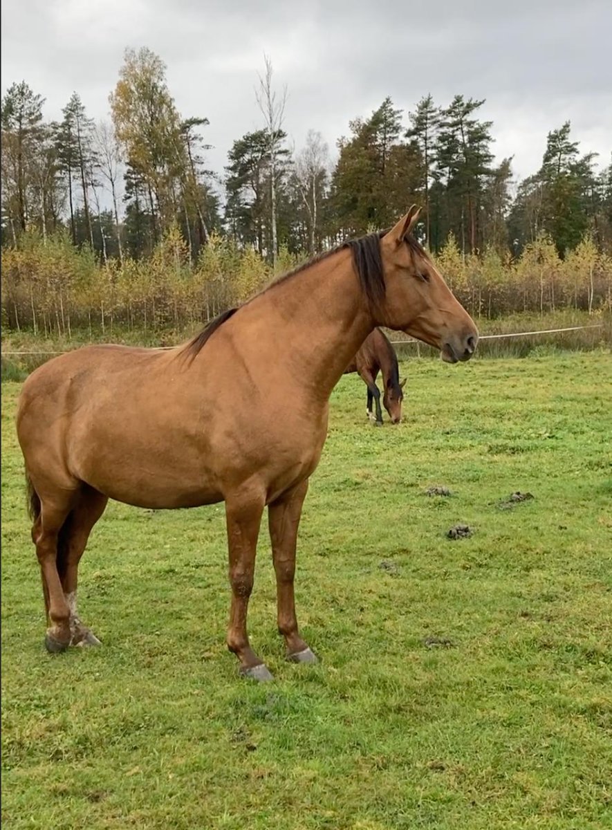 photo_2025-10-16 23.58.46.jpeg